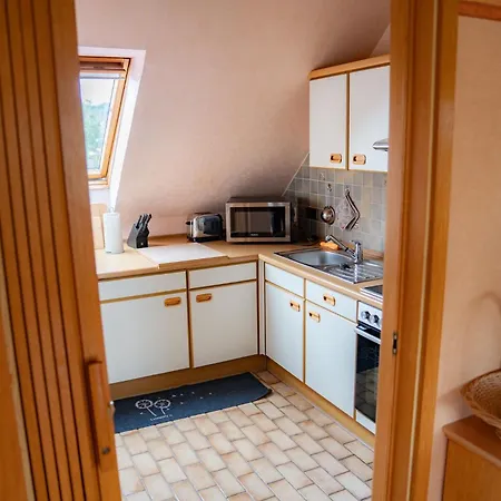 Apartment Niki